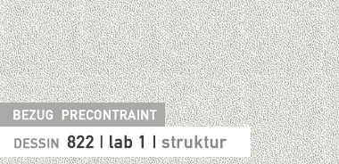 Precontraint 822 lab 1 Struktur