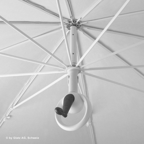 Kurbelset für Pendalex V+ Kurbelset für Pendalex V+