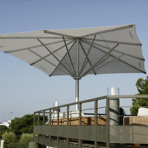 Albatros May Marktschirm I Albatros