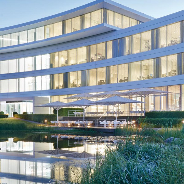 Albatros May Marktschirm I Albatros