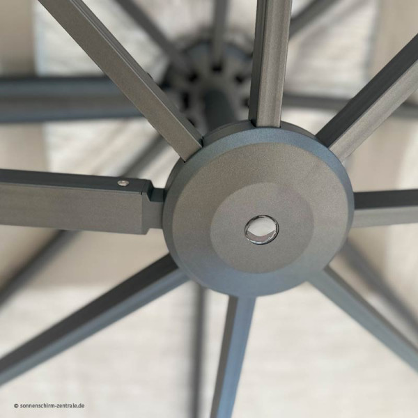 Amrum Liro Ampelschirm I Amrum