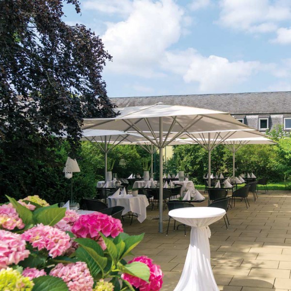 Albatros May Marktschirm I Albatros