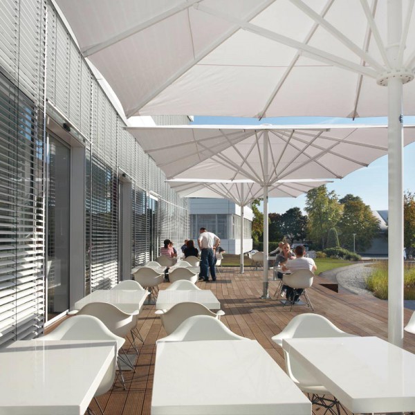 Albatros May Marktschirm I Albatros